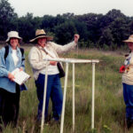 Vegetation measures in a weedy field before herbicide treatments. Carroll Richards, Diana Bannister, Erica Corbett.