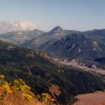 Mt. St. Helens in Washington erupted in 1980, blowing its top off and producing the stream of sediments, 20 years before this photo was taken. Many of the conifers have grown back.