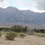 Rain comes over the Sierra Nevada of California from the Pacific Ocean in the west. On the east side, the air has become dry and you find desert bushes. The mountains form a rain shadow. One of the tall peaks in the center is Mt. Whitney, the tallest mountain in the lower 48.