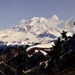 Near timberline (here, Mt. Baker in Oregon), trees may grow in krummholz form. They are short enough to be protected from fierce winds and ice crystals during the winter by being under the snow. The branches grow primarily on the leeward side of the trunk.