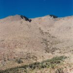 This location in the southern Sierra Nevada in California is on the dry rain shadow (east) side and is mostly desert scrub. Joshua trees grow in the arroyo. The top of this mountain has east-facing and west-facing slopes. The east-facing slope is cooler and wetter than the west-facing slope. East is to the right. The east slope is just enough cooler than the west that live oak trees can grow on the east, but not the west, slope. This photo shows ecological zonation by moisture and temperature.