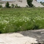 Abandoned mountains of mining waste have made the soil, air, and water toxic in Picher, Oklahoma, on Quapaw Native American land. Most of the people have moved away, leaving the slabs of abandoned houses.