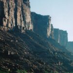 Along the Colorado River in Utah, almost all of the riparian vegetation is salt cedar (genus Tamarix), introduced from Asia. It absorbs a lot of water and dehydrates soil in places near the river.