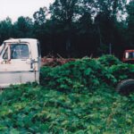 Don't park your truck too long in Georgia, in the American south! Kudzu (Pueraria lobata) will grow over it. Kudzu was introduced as a plant to control soil erosion and cattle can eat it. But it escaped far beyond pastures.