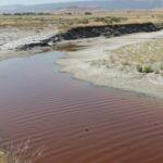 In the coast range of California, irrigation water accumulates in trenches and is filled with salt which promotes the growth of single-celled algae.