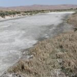 In the coast range of California, irrigation water accumulates in trenches and is filled with salt. The soil has been salinized.