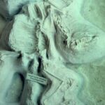 Eleven-million-year-old horse bones embedded in volcanic ash. They died at a watering hole in what is now Nebraska. Ashfall Beds State Historical Park is unusual in having a dense concentration of mammal fossils that are still articulated (the bones are still in place). Dinosaur fossils are not found here; they had already long been extinct. The primitive horses still had three toes.