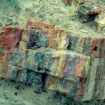 Petrified wood about 260 million years old. In this longitudinal section, the vertical wood grain is visible. Colors come from minerals, primarily iron, that diffused in as the wood slowly decomposed. Petrified Forest National Park, Arizona.