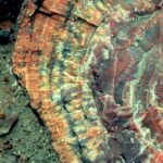 PPetrified stump, about 260 million years old. Colors come from minerals, primarily iron, that diffused into the wood as it slowly decomposed. In this cross-section, wood layers can be seen, as well as bright red xylem rays. Petrified Forest National Park, Arizona.