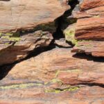 Closeup of petrified wood. Colors come from minerals, primarily iron, in the fossil that replaced the wood as it decomposed slowly. About 260 million years old. Tangential section shows the original wood grain. Petrified Forest National Park, Arizona.