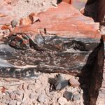 Closeup of petrified wood. Colors come from minerals, primarily iron, in the fossil that replaced the wood as it decomposed slowly. About 260 million years old. Petrified Forest National Park, Arizona.