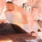 Closeup of petrified wood. Colors come from minerals, primarily iron, in the fossil that replaced the wood as it decomposed slowly. About 260 million years old. Petrified Forest National Park, Arizona.