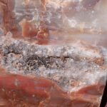 Closeup of petrified wood. Colors come from minerals, primarily iron, in the fossil that replaced the wood as it decomposed slowly. About 260 million years old. Petrified Forest National Park, Arizona.