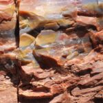 Closeup of petrified wood. Colors come from minerals, primarily iron, in the fossil that replaced the wood as it decomposed slowly. About 260 million years old. Petrified Forest National Park, Arizona.