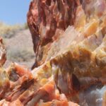 Closeup of petrified wood. Colors come from minerals, primarily iron, in the fossil that replaced the wood as it decomposed slowly. About 260 million years old. Petrified Forest National Park, Arizona.