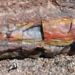 Closeup of petrified wood. Colors come from minerals, primarily iron, in the fossil that replaced the wood as it decomposed slowly. About 260 million years old. Petrified Forest National Park, Arizona.
