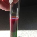 Bright white light comes from the left side and penetrates through a test tube of chlorophyll extract. The chlorophyll absorbs all the colors except green, which is transmitted through the test tube to the right. But the chlorophyll molecules have to get rid of the energy they have absorbed, and they do that by emitting lower-energy red light in all directions. We can see the red light by looking from the side.