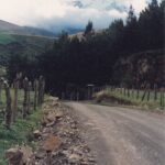 Chimborazo, a high volcano in the Andes of Ecuador, as seen from a cloud forest road approaching it in 1989.