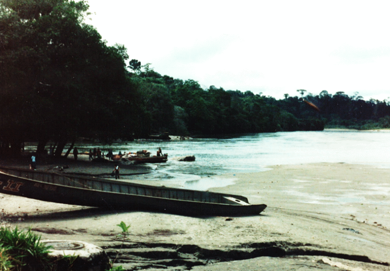 Amazon rainforest along the Napo River in El Oriente, east of the Andes in Ecuador.