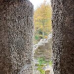 Forest through window of Andlau Castle, Alsace.