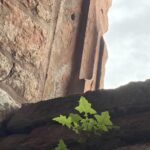 Lichtenberg Castle, Alsace.