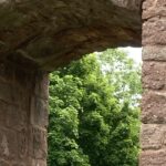 View of forest from window of Wangenbourg Castle, Alsace.