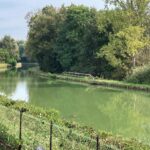 Marne-au-Rhin canal, Hoenheim, north of Strasbourg. This canal prevents most floods, provides tourist transportation, and even generates some electricity.