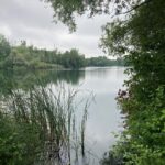 Lake Balastiere, Bischheim, north of Strasbourg, in summer.