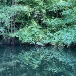 Deciduous forest along an etang (pond) near the Ill River north of Strasbourg.