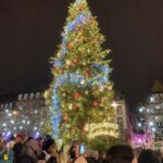 The Strasbourg Christmas Market, which fills Place Kleber and Place Broglie and other places, draws visitors from all over the world. It was the world's tallest Christmas tree every year.