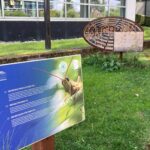 An "insect hotel" near the European Parliament building in Strasbourg. There are many such insect hotels in the world, which provide shelter for beneficial insects that might otherwise get driven out by invasive insects. The European Union installed this to proclaim its devotion to ecological sustainability.