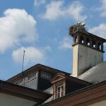 Storks nest on platforms on chimneys of old buildings, here Josephine's palace in the Orangerie. The storks will build their nests there anyway, you can't stop them, so the platforms keep the sticks from falling into the chimney, clogging it, and starting a fire. The Orangerie is the favorite place for storks to build nests.