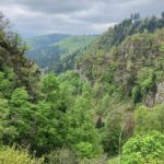 Early spring forest near Lichtenberg in the Vosges Mountains, Alsace. France.