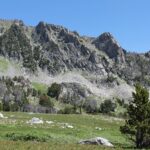 Subalpine meadow below alpine tundra in Montana.