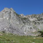 A subalpine meadow in Montana.
