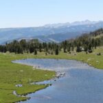 Pond in alpine tundra in Montana.