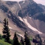 Alpine tundra and subalpine conifers near Snowbird, Utah.