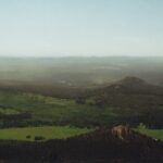 Ponderosa pine trees produce so much pollen that what appears to be yellow dust in this photo, on a windy warm day in June, is actually pine pollen. Black Hills, South Dakota.