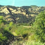 Santa Ynez mountains, one of the coast ranges of California. The dark plants on the mountains is chaparral.