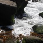 Cliffs north of San Diego, Pacific Ocean, California.