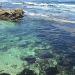 Tidepools off the coast of La Jolla, California.