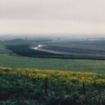 Irrigation allows the San Joaquin Valley of California (here, in Lindsay) to have abundant agriculture, primarily oranges. The Friant-Kern Canal follows the base of the Sierra Nevada foothill southward.