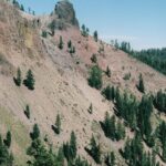 On Lassen Volcano in the Sierra Nevada of California, conifers find it difficult to grow on steep slopes of loose rock.