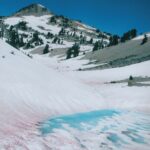 The red color on the snow below Lassen Peak in the Sierra Nevada results from microscopic algae that make food by photosynthesis and get minerals from dust.