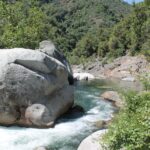 Although the upper foothill shrublands of the Sierra Nevada in California receive little rain in the summer, the Kaweah River rushes with water from snowmelt.