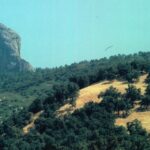 Moro Rock emerges from mountains in Sequoia National Park, Sierra Nevada, California. it is surrounded by a mosaic of montane coniferous forest, chaparral, and oak woodland.