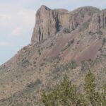 Chisos Mountains, Big Bend National Park, Texas. Pines grow in a wet area. Cliffs, dry desert bushes.