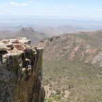 View from the top of Emory Peak, Big Bend National Park. Shrubs of the chichuahuan desert.