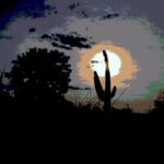Special effects photo of a saguaro cactus in the sunset.