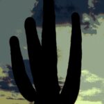 Special effects photo of a saguaro cactus in the sunset.